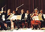 European Union Chamber Orchestra